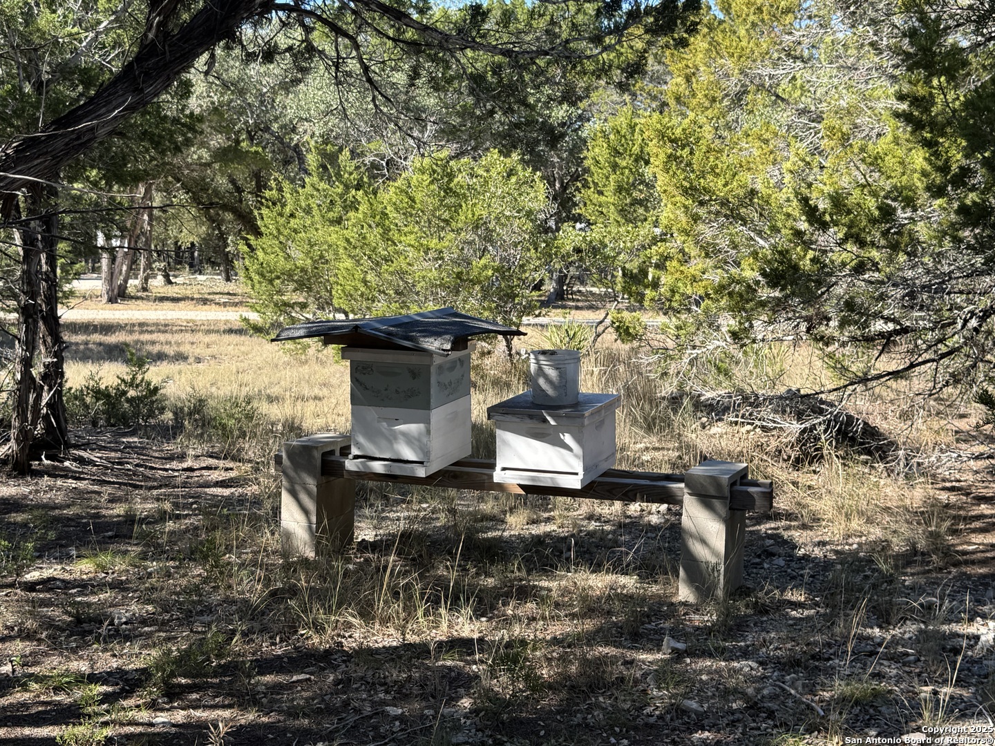 620 Lake Forest Road Pipe Creek, TX 78063 - Photo 50 of 54