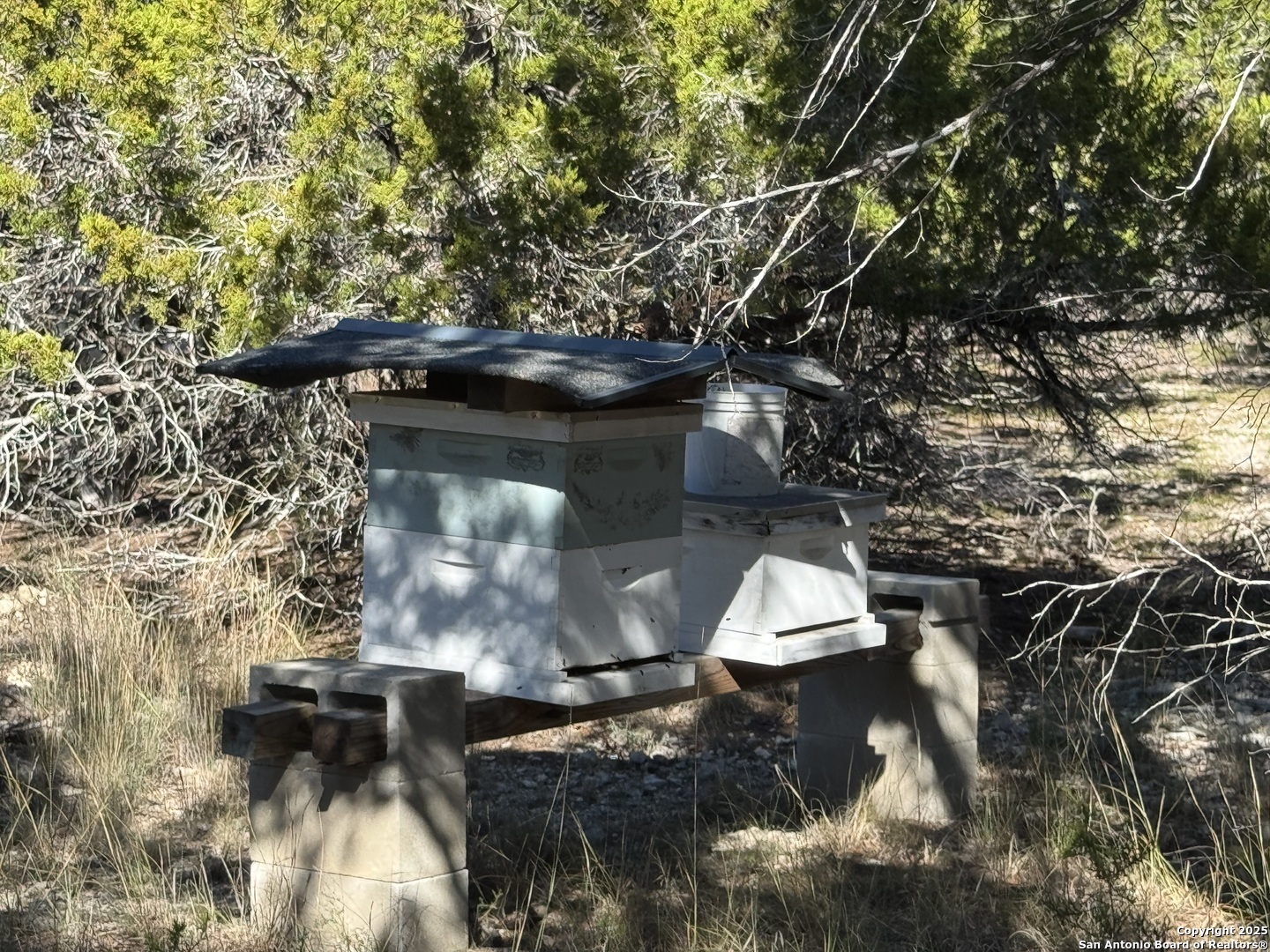 620 Lake Forest Road Pipe Creek, TX 78063 - Photo 51 of 54