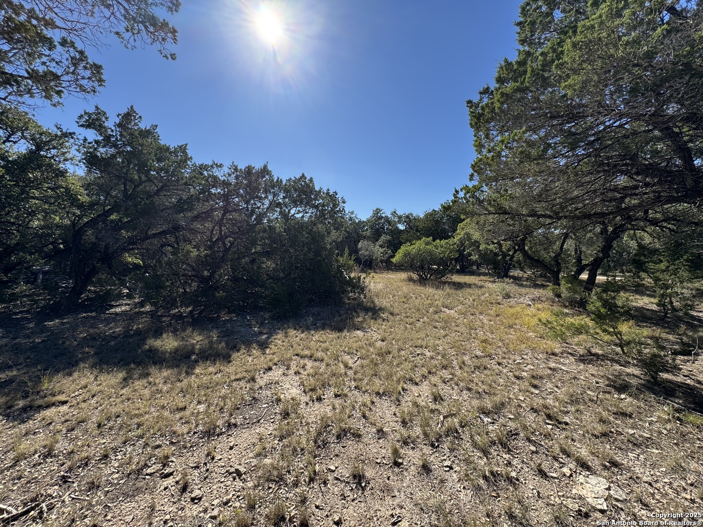 620 Lake Forest Road Pipe Creek, TX 78063 - Photo 52 of 54