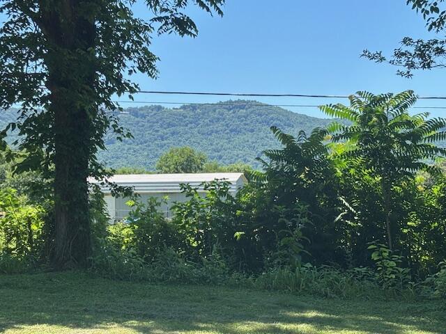 194 Patton Road Pikeville, TN 37367 - Photo 8 of 34 IMG_0593
