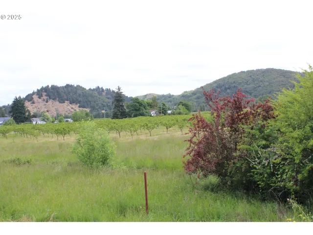 $334,900 | 185 Lebleu Lane, Winston, OR 97496