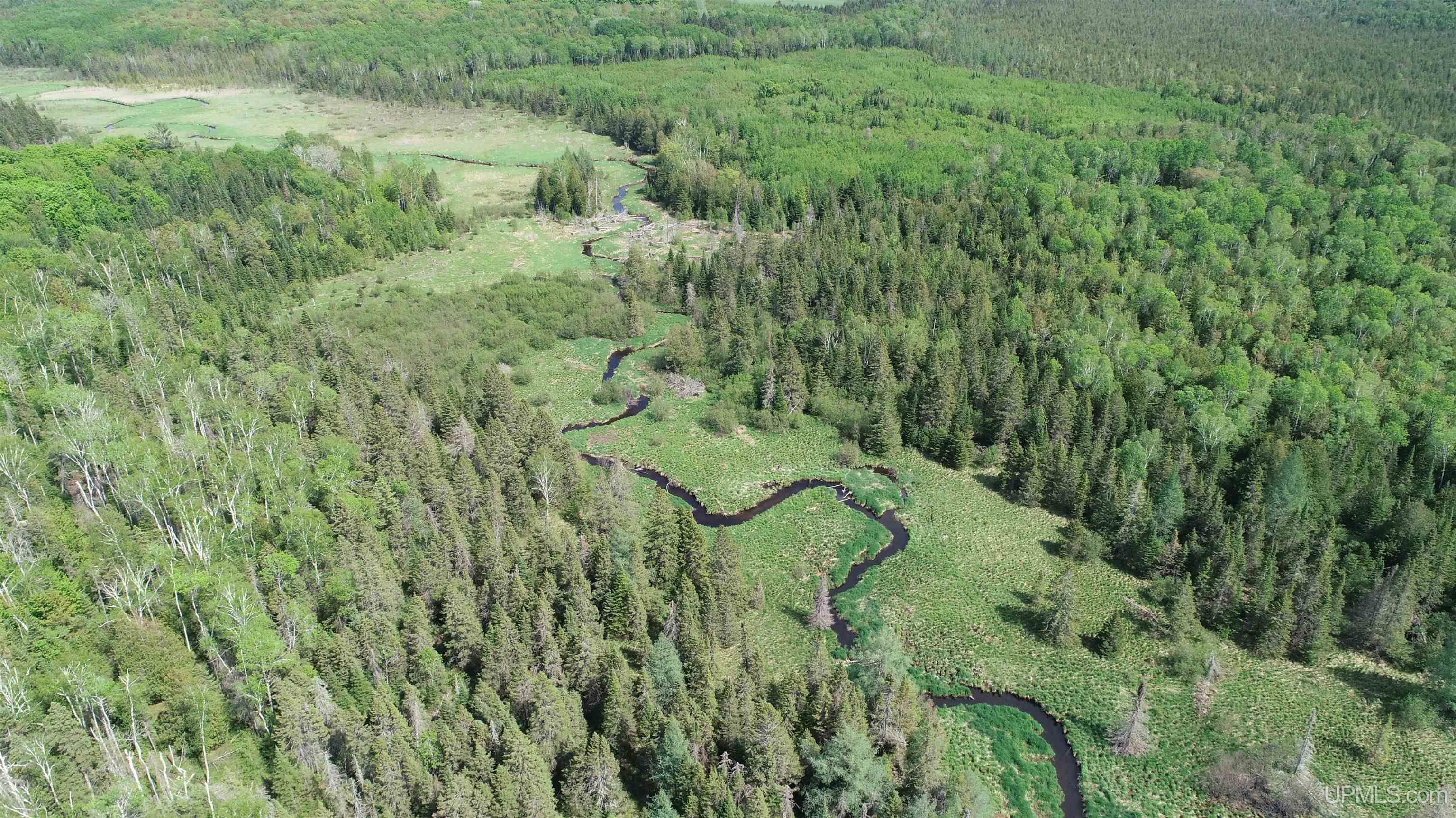 Tbd Tbd Banking Ground Road Germfask, MI 49836 - Photo 11 of 36