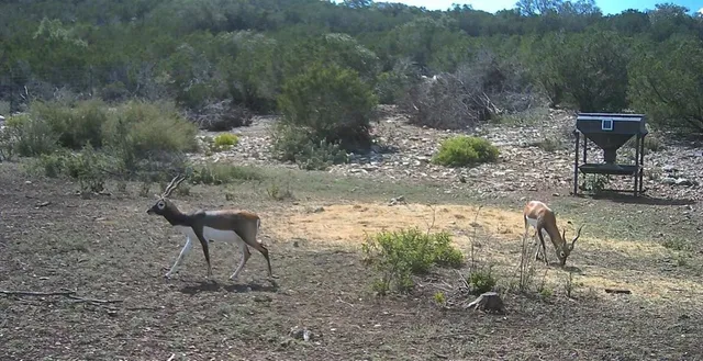 a view of a table and chairs in the field