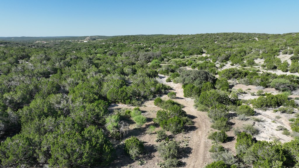 3224 Ranch Road Rocksprings, TX 78880 - Photo 6 of 7 a view of a green field with lots of bushes