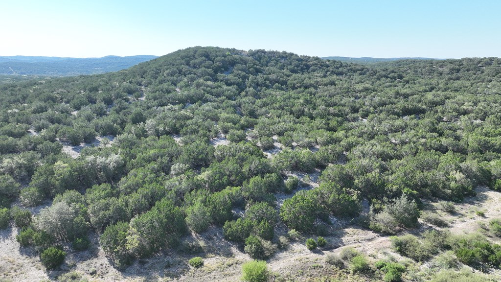3224 Ranch Road Rocksprings, TX 78880 - Photo 7 of 7 a view of a mountain in the distance