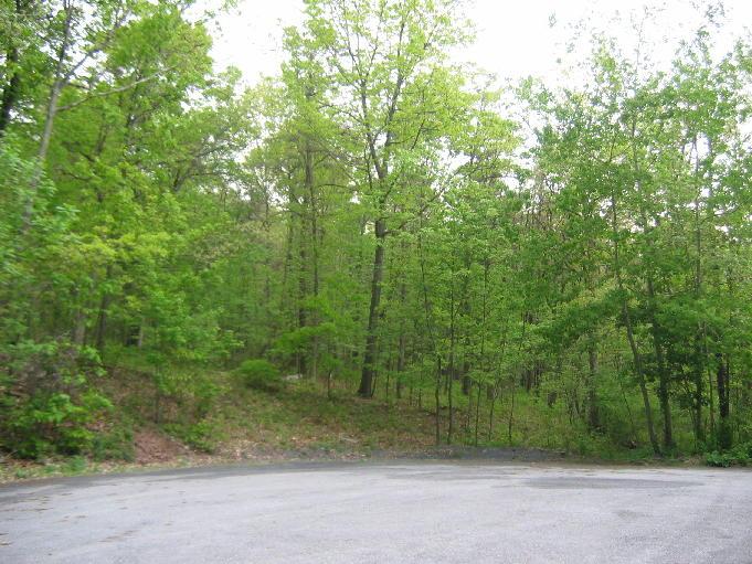 Road View