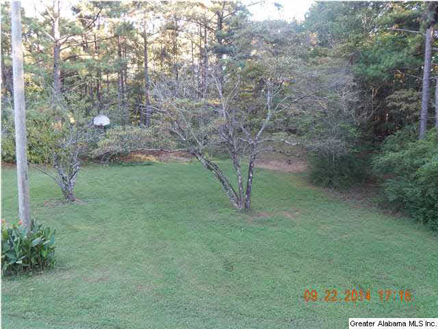 1050 Deer Trace Road Pell City, AL 35125 - Photo 2 of 12 Gallery Image 2