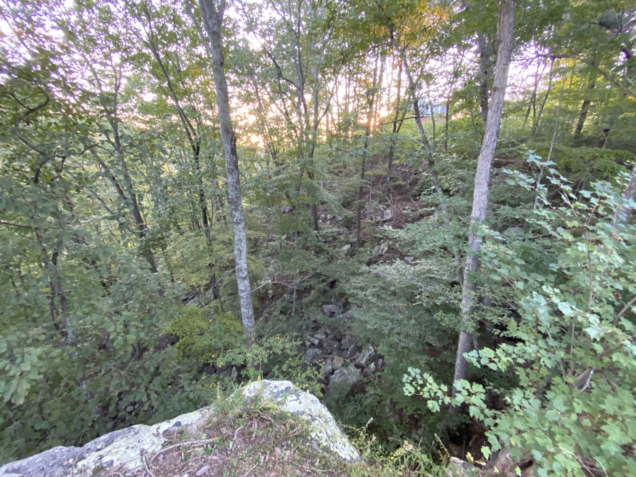 1211 Adams Road Tracy City, TN 37387 - Photo 29 of 36 Gallery Image 29