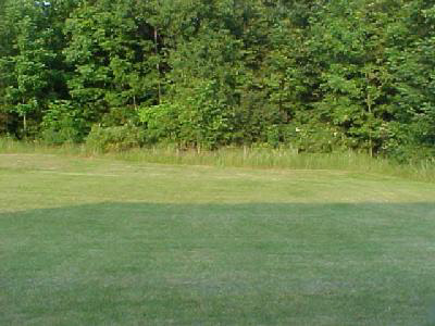 305 Springer Drive Butler, IN 46721 - Photo 7 of 8