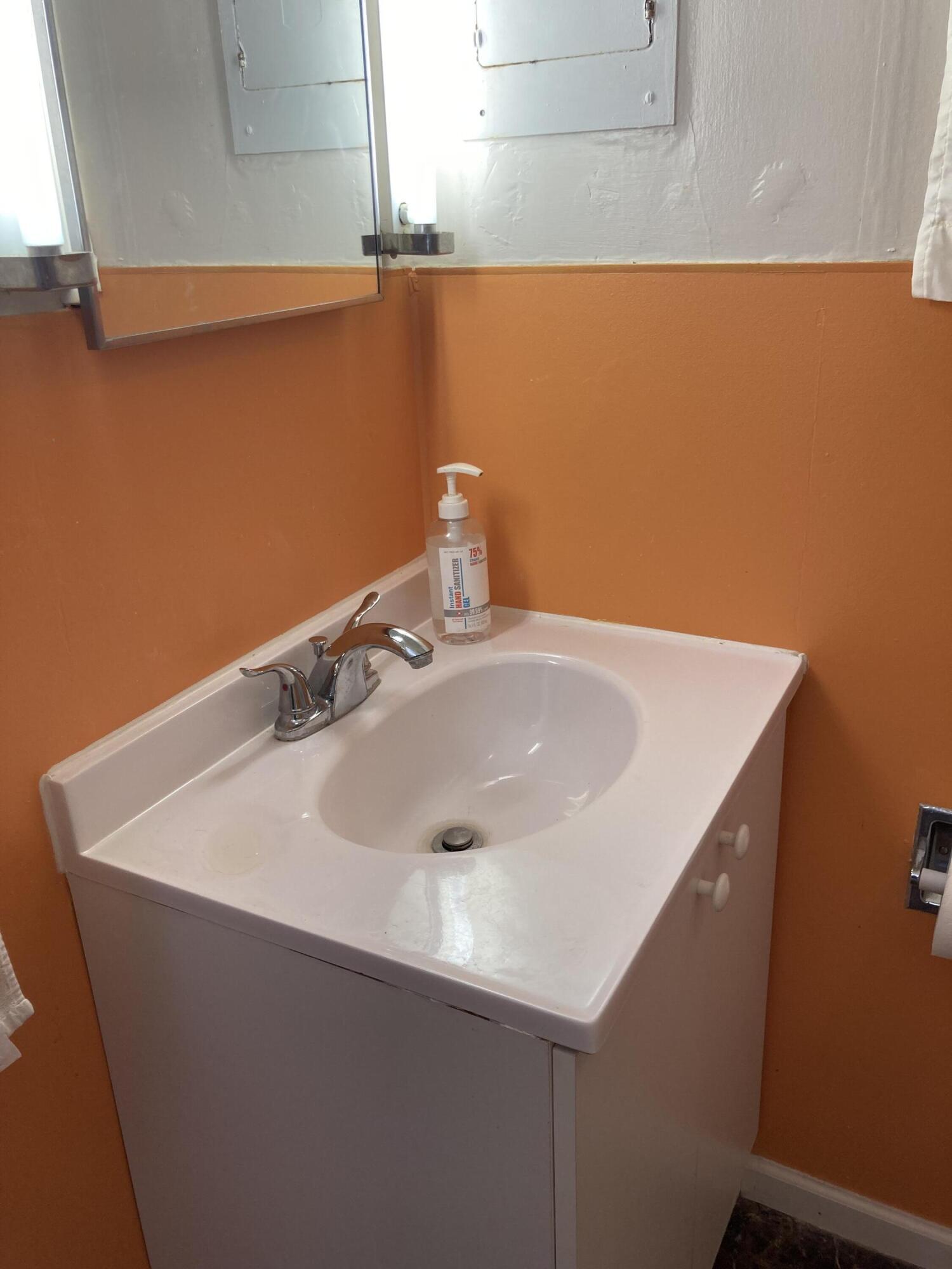 123 11th Street Edmore, MI 48829 - Photo 11 of 12 IMG_6017