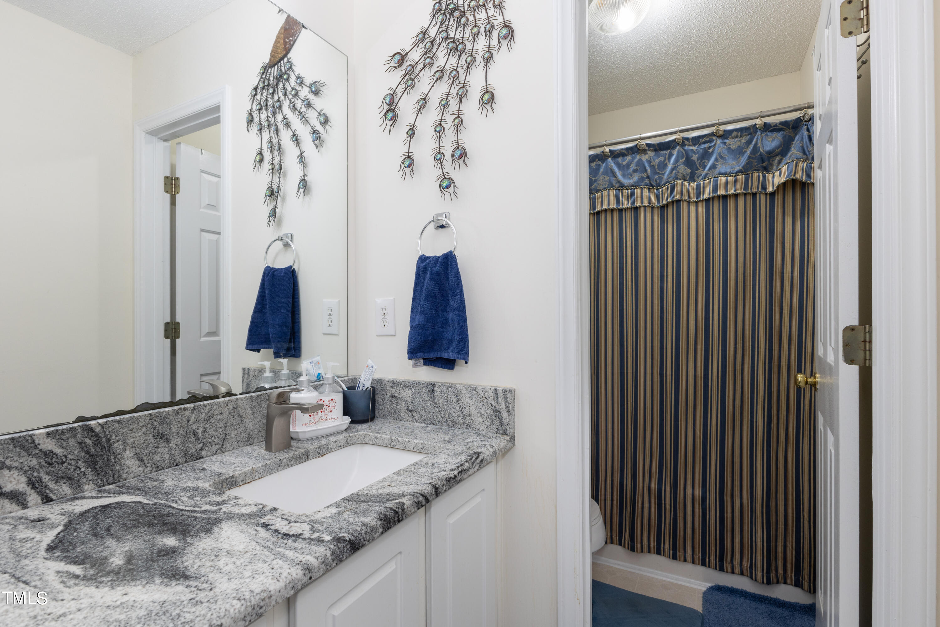 3 Weeping Beech Way Durham, NC 27713 - Photo 12 of 26 a bathroom with double vanity and a mirror
