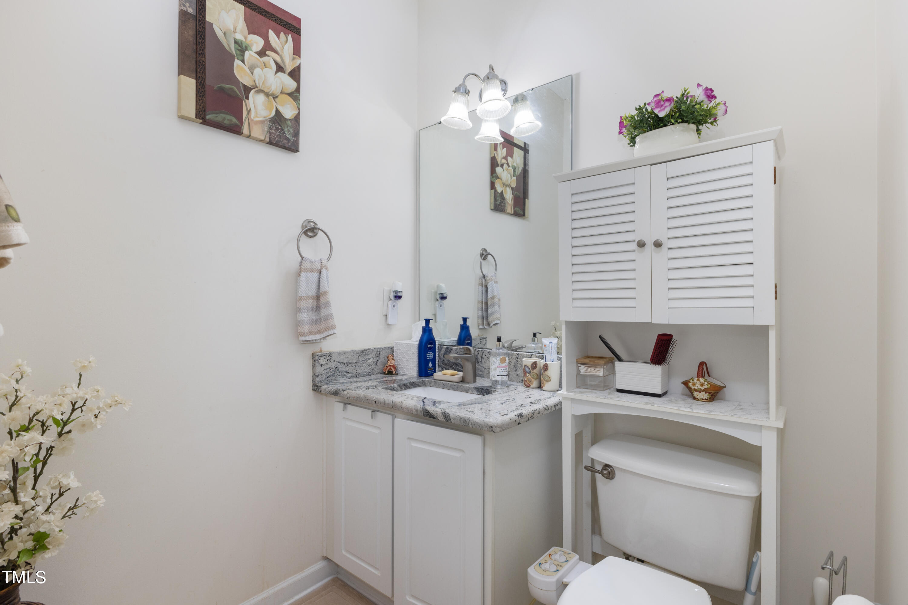 3 Weeping Beech Way Durham, NC 27713 - Photo 19 of 26 a bathroom with a sink a toilet and mirror