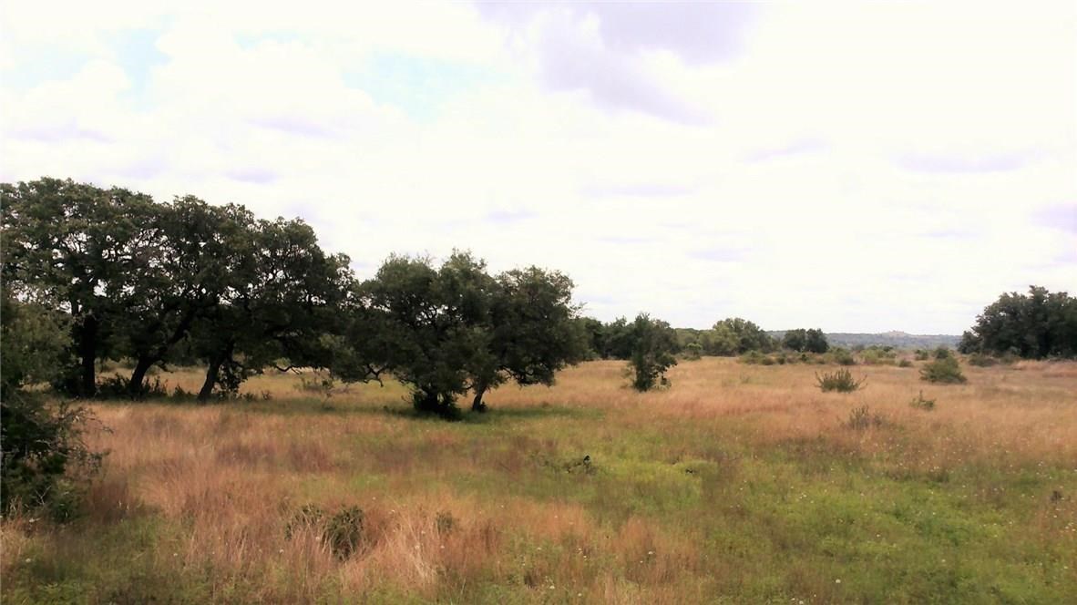 2275 Prochnow Road Dripping Springs, TX 78620 - Photo 1 of 1