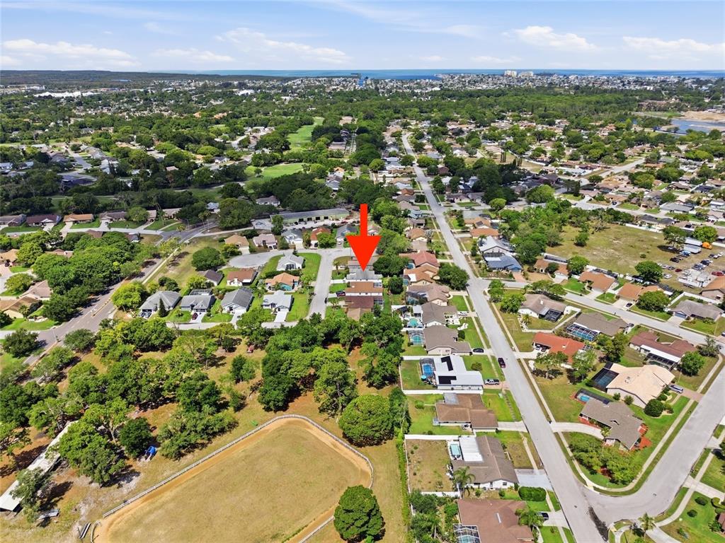 8051 Thatch Terrace Hudson, FL 34667 - Photo 31 of 33