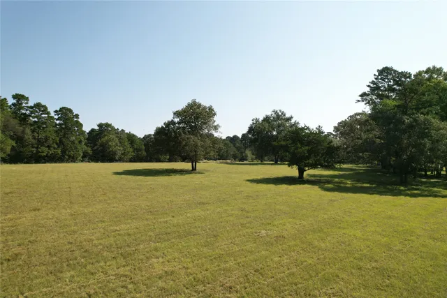 a view of a lake in middle of forest