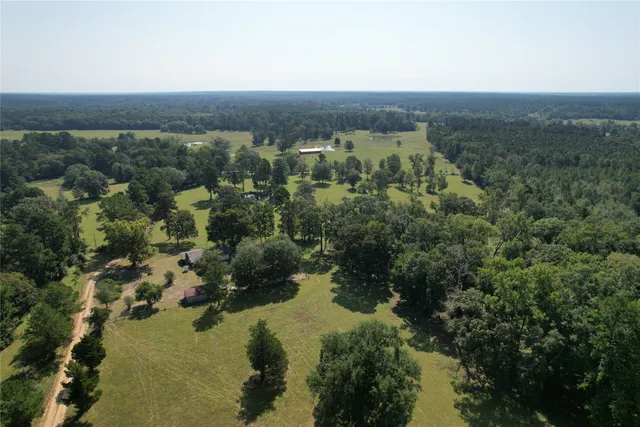 a view of a house with a yard and a large tree