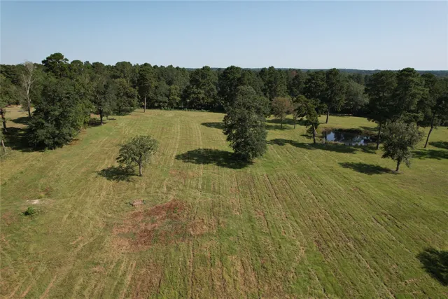 a view of a lake from a yard