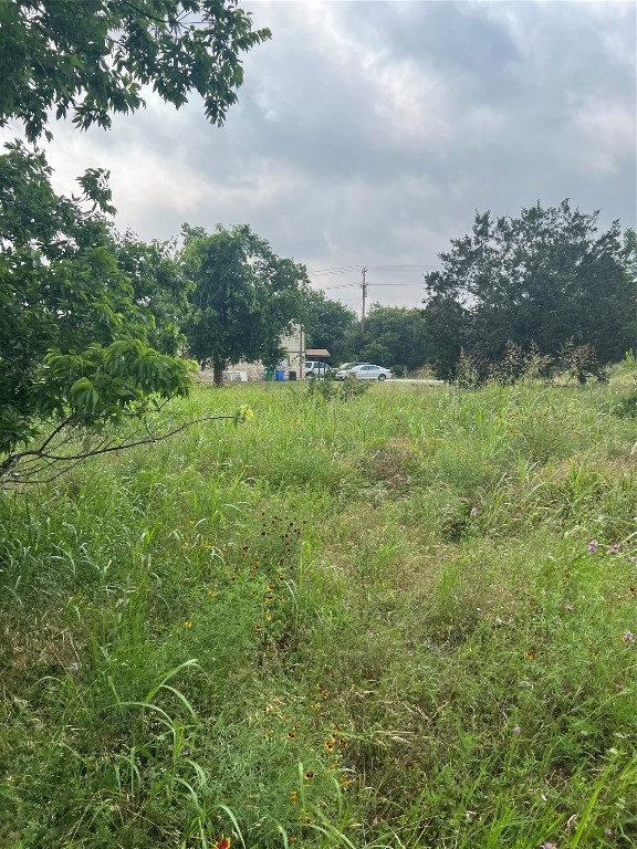 151-201 Springlake Drive Dripping Springs, TX 78620 - Photo 4 of 12 a view of a field of grass and trees