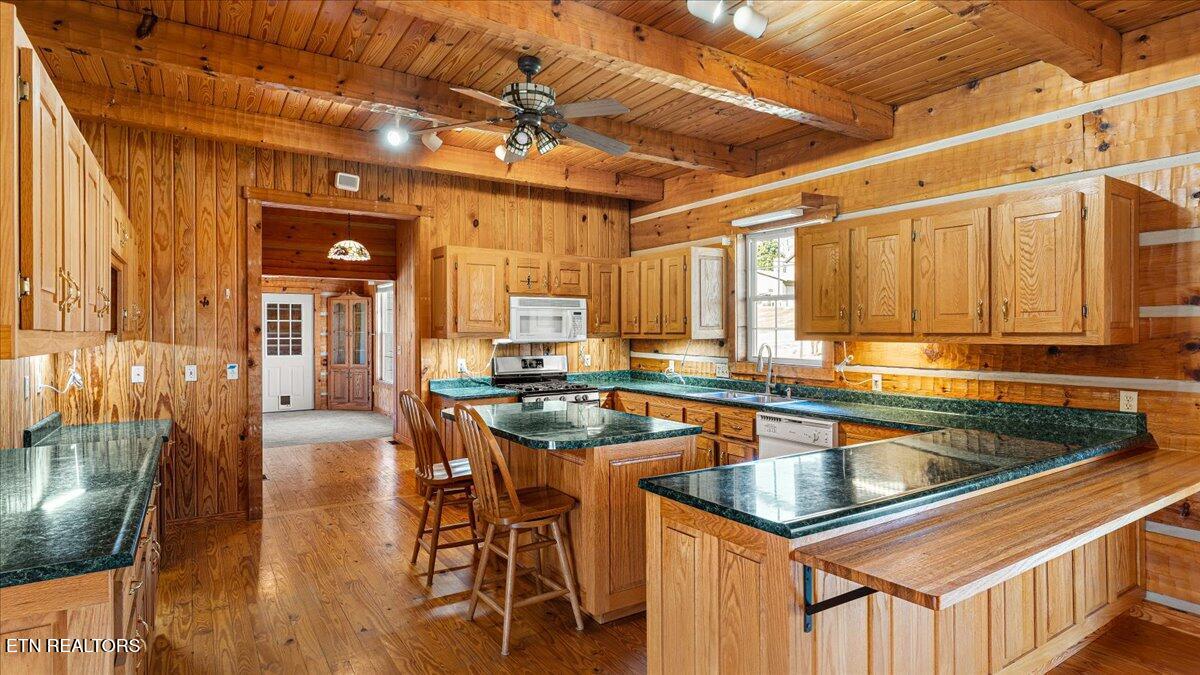 1793 Cherokee Drive Bean Station, TN 37708 - Photo 17 of 60 10-Kitchen