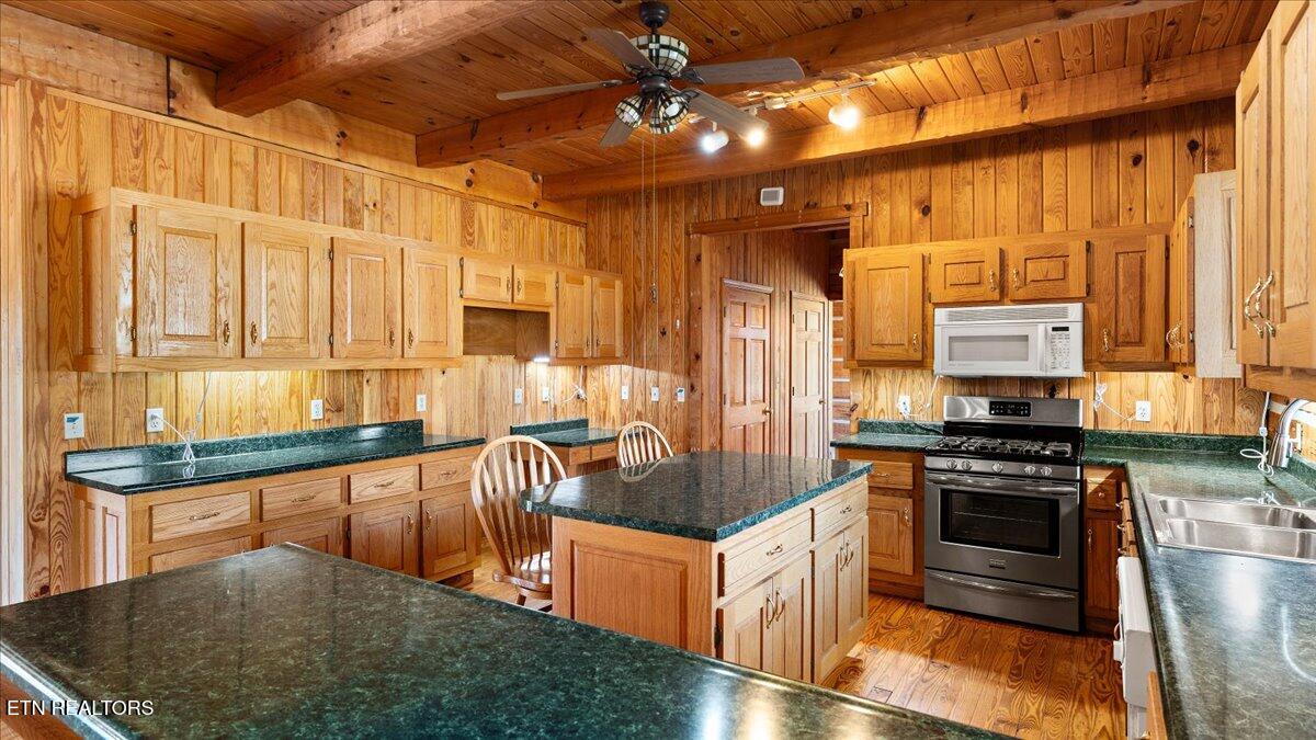 1793 Cherokee Drive Bean Station, TN 37708 - Photo 18 of 60 12-Kitchen