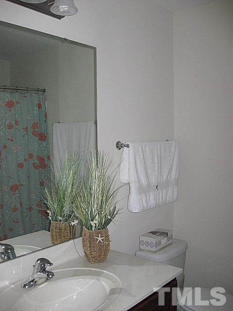 7641 Weathered Oak Way Raleigh, NC 27616 - Photo 17 of 20 a bathroom with a potted plant and a sink