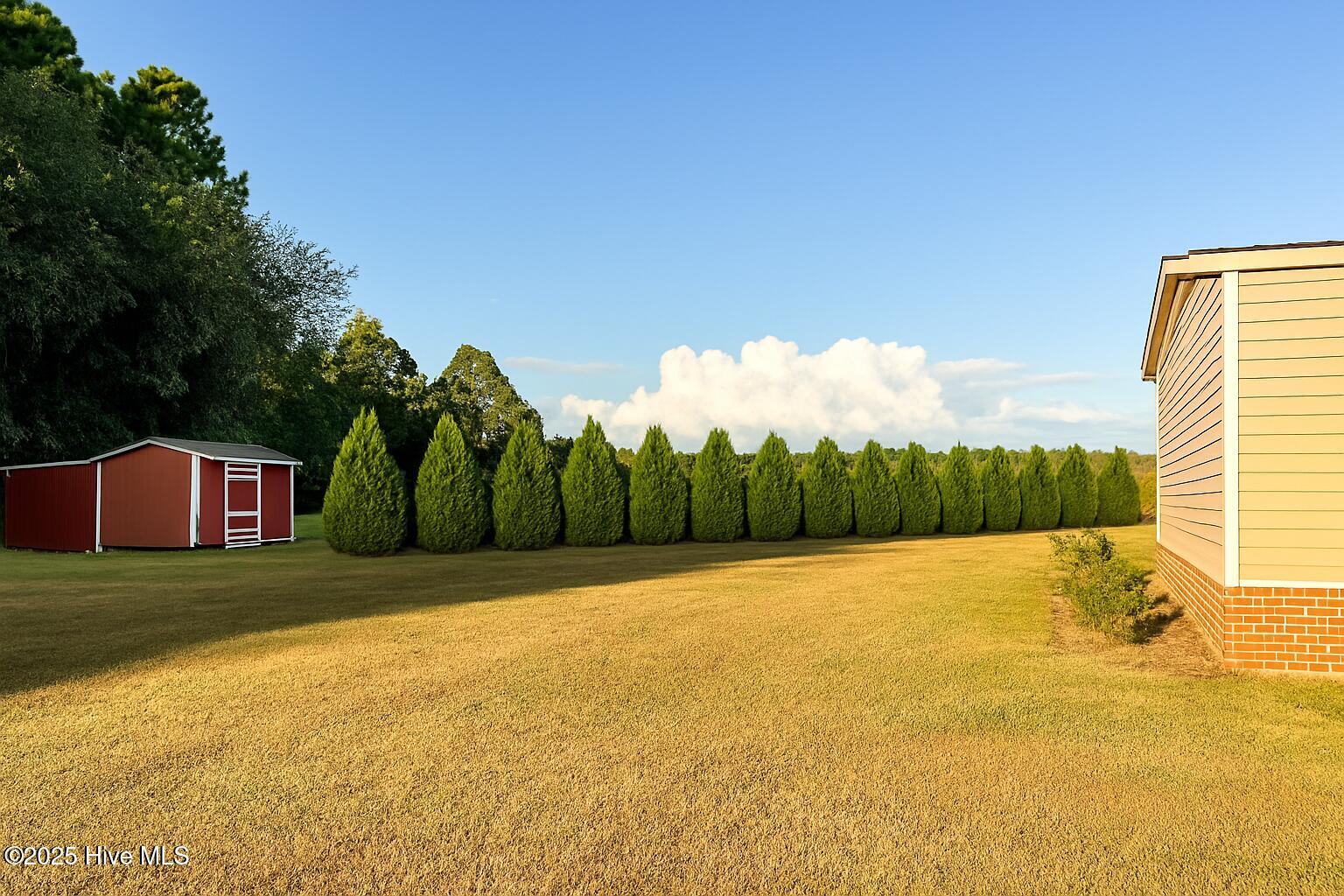 994 Test Farm Road Wallace, NC 28466 - Photo 21 of 25 Ai generated landscape privacy