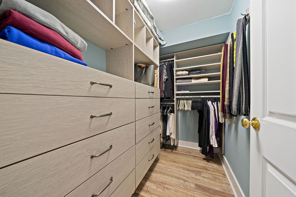 23 Claflin Road, Unit 1 Brookline, MA 02445 - Photo 24 of 41 a view of a walk in closet