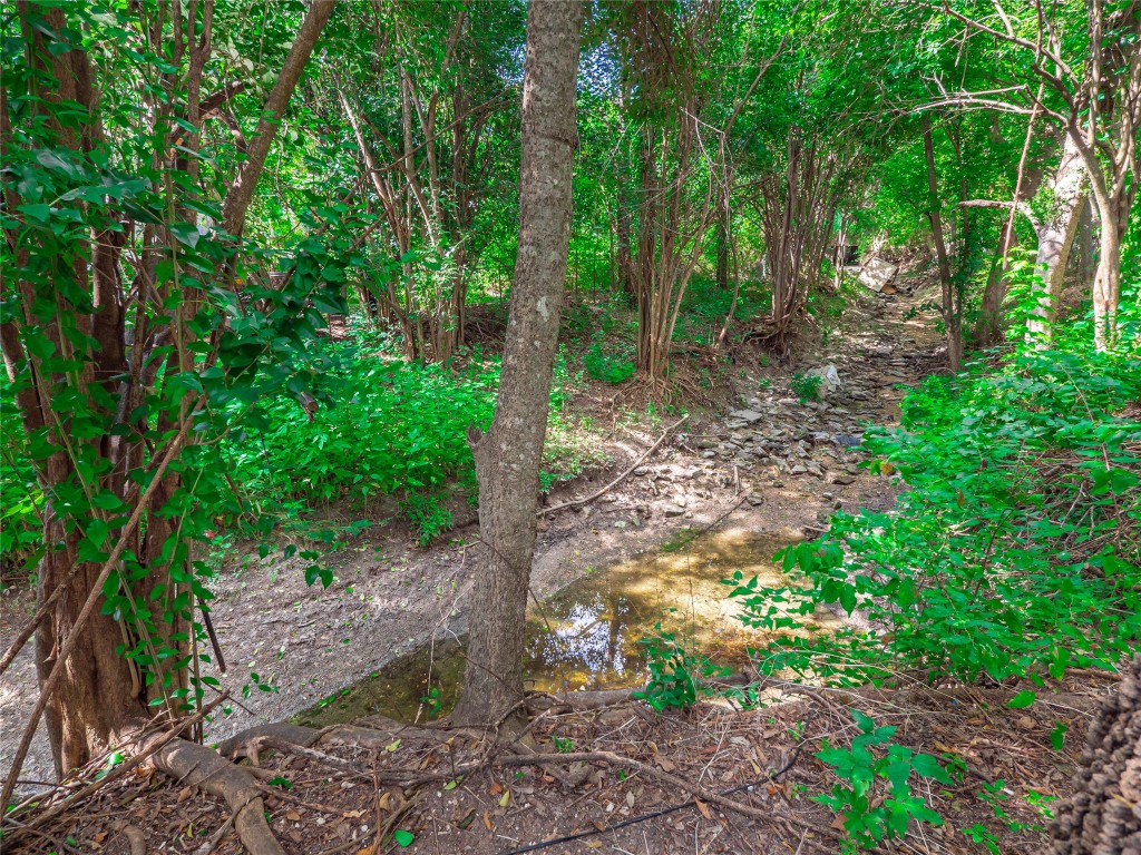 401 Ramble Lane Austin, TX 78745 - Photo 30 of 32 a backyard of a house with lots of green space