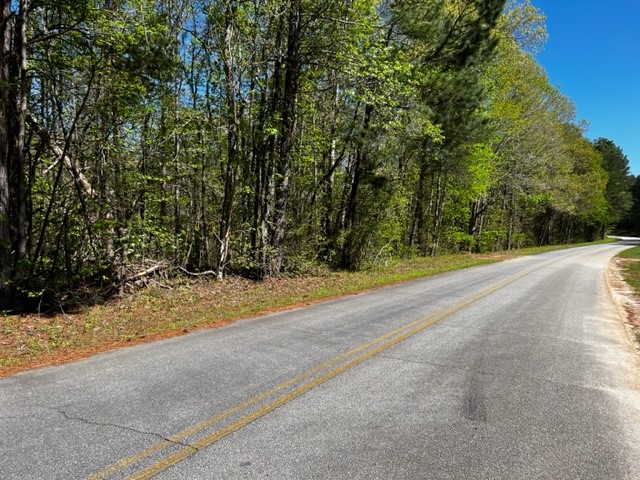 0 Tabor Ramp Road Westminster, SC 29693 - Photo 5 of 5 Gallery Image 5
