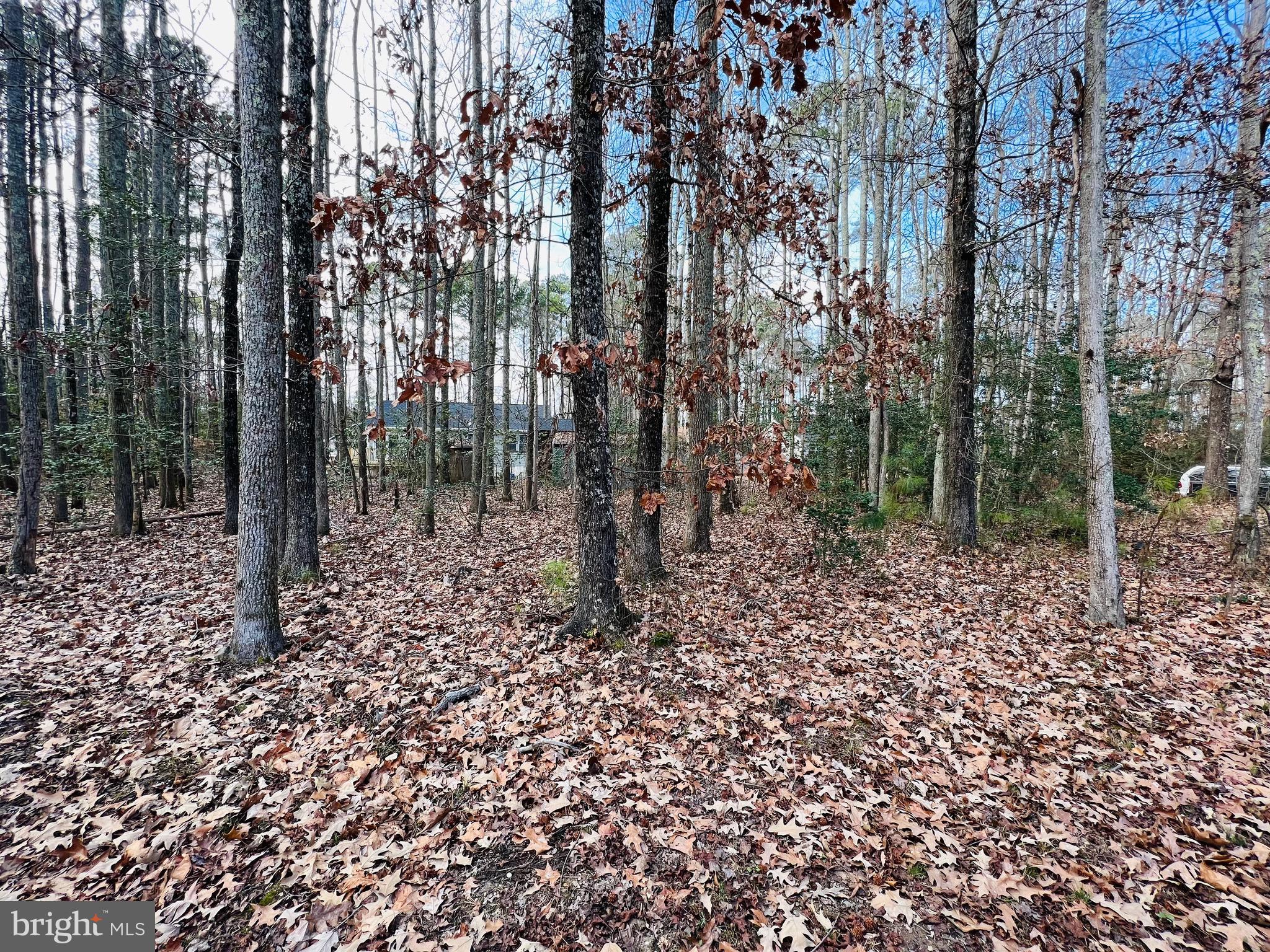 277 Wildwood Road Colonial Beach, VA 22443 - Photo 6 of 18 Gallery Image 6