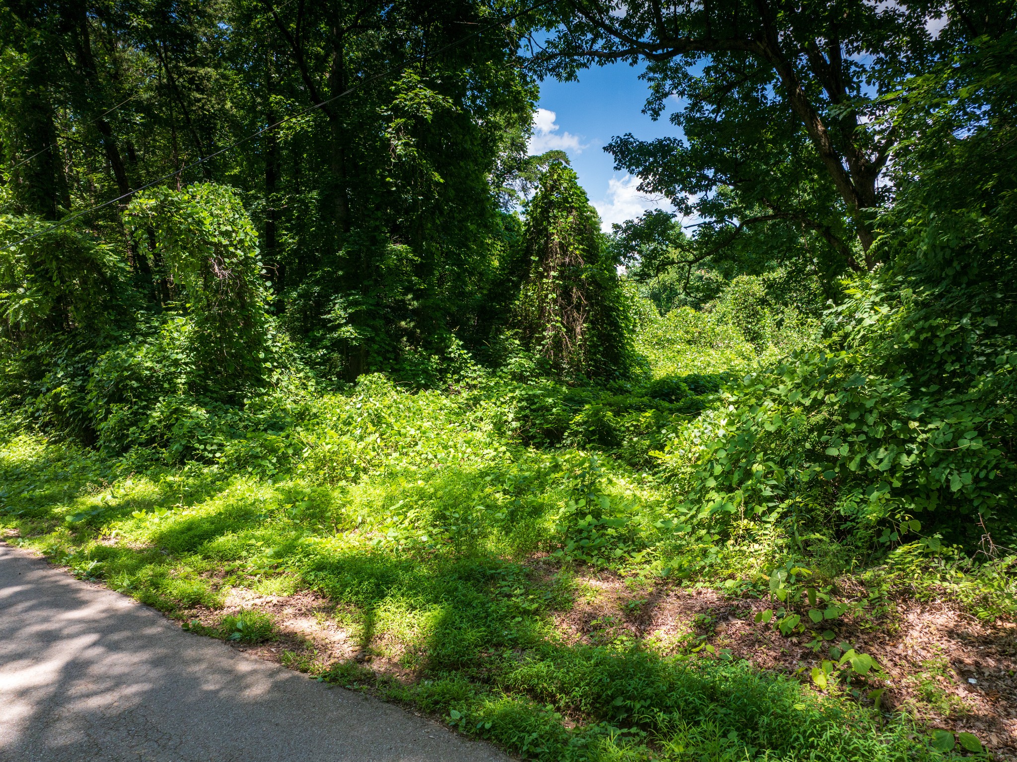1175 McGhee Road Greenback, TN 37742 - Photo 23 of 31