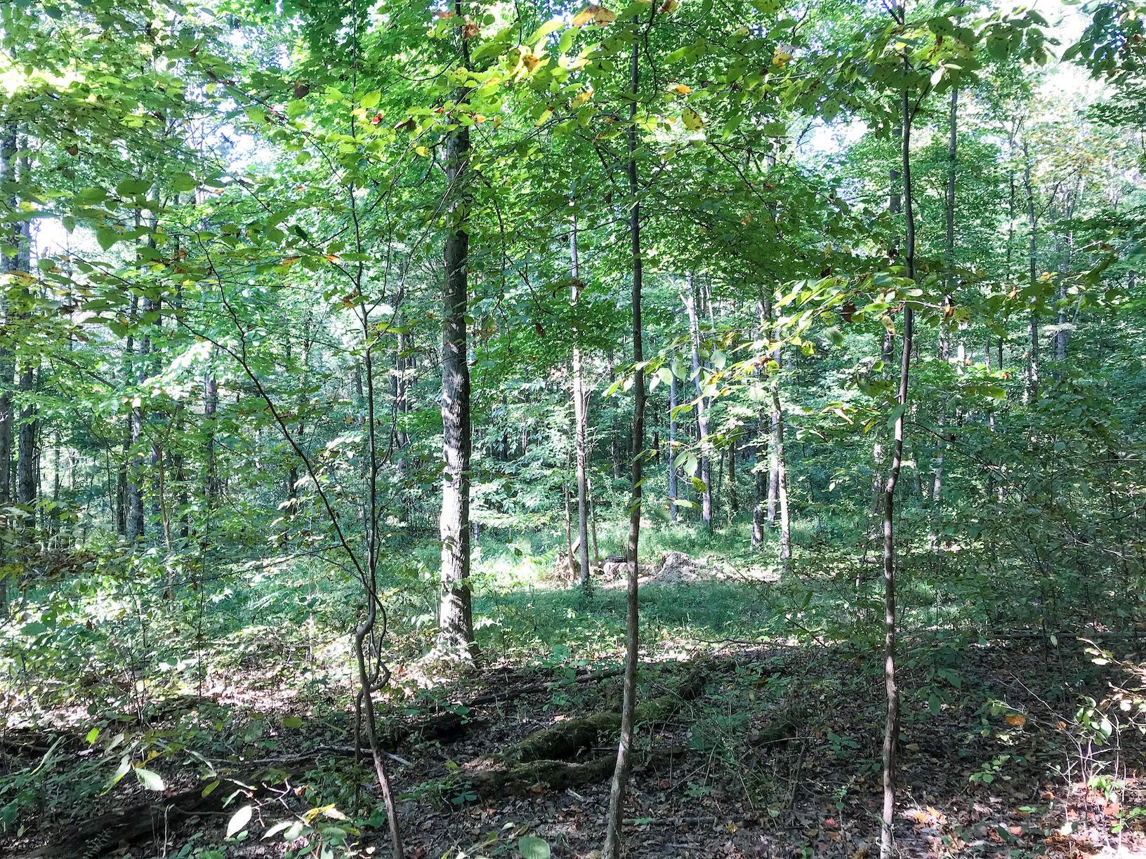 16487 Flint Ridge Road Southeast Hopewell, OH 43746 - Photo 12 of 42