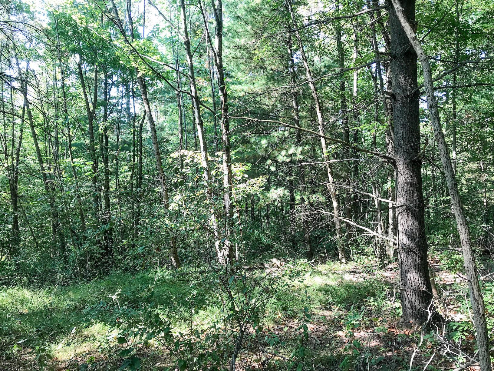 16487 Flint Ridge Road Southeast Hopewell, OH 43746 - Photo 14 of 42