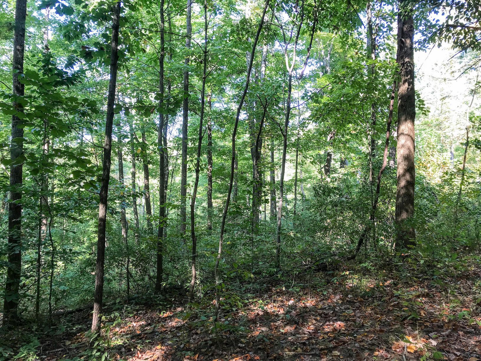 16487 Flint Ridge Road Southeast Hopewell, OH 43746 - Photo 16 of 42