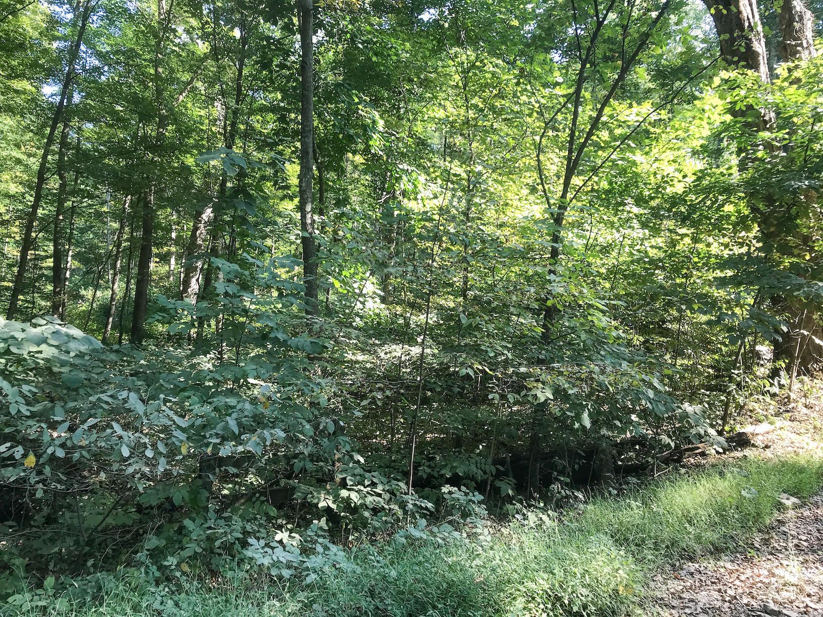 16487 Flint Ridge Road Southeast Hopewell, OH 43746 - Photo 2 of 42