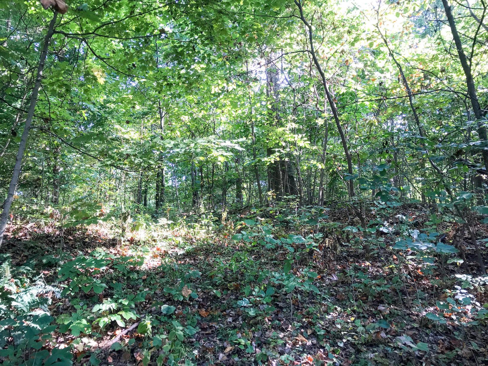 16487 Flint Ridge Road Southeast Hopewell, OH 43746 - Photo 21 of 42