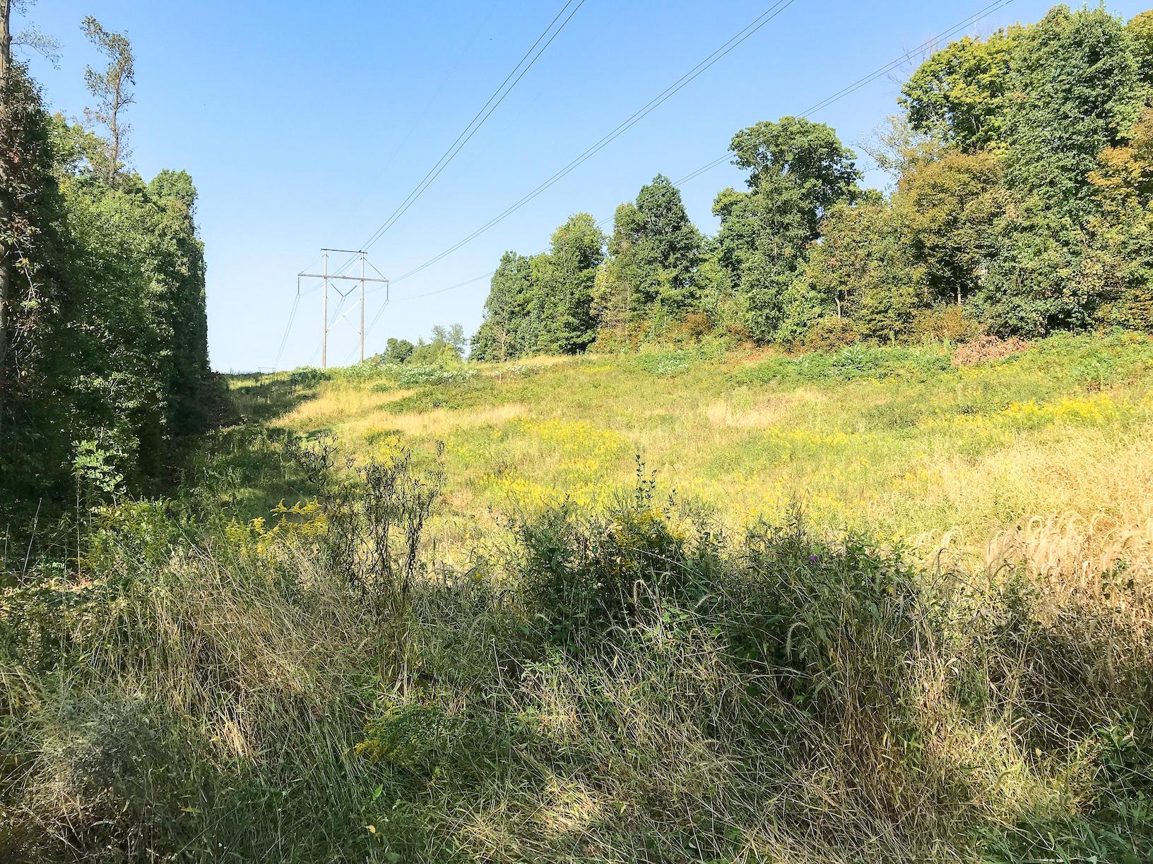 16487 Flint Ridge Road Southeast Hopewell, OH 43746 - Photo 25 of 42