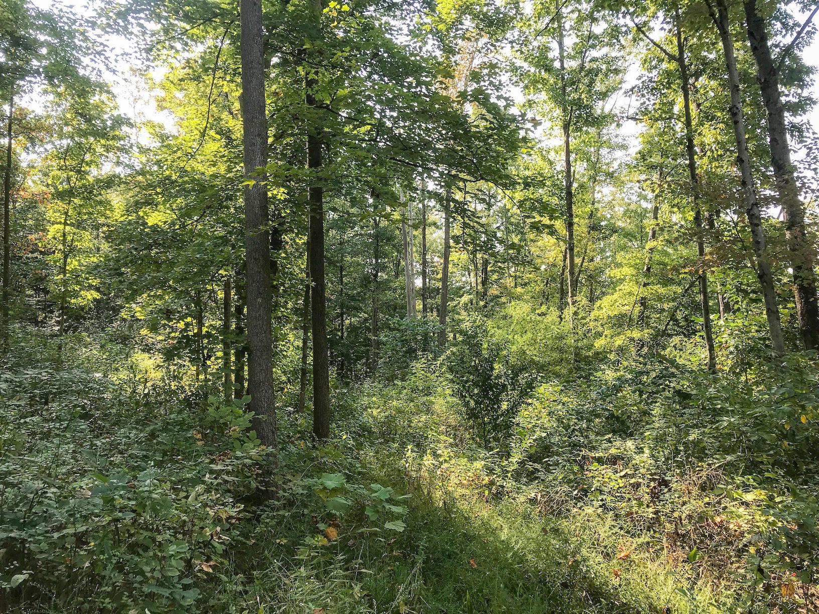 16487 Flint Ridge Road Southeast Hopewell, OH 43746 - Photo 28 of 42