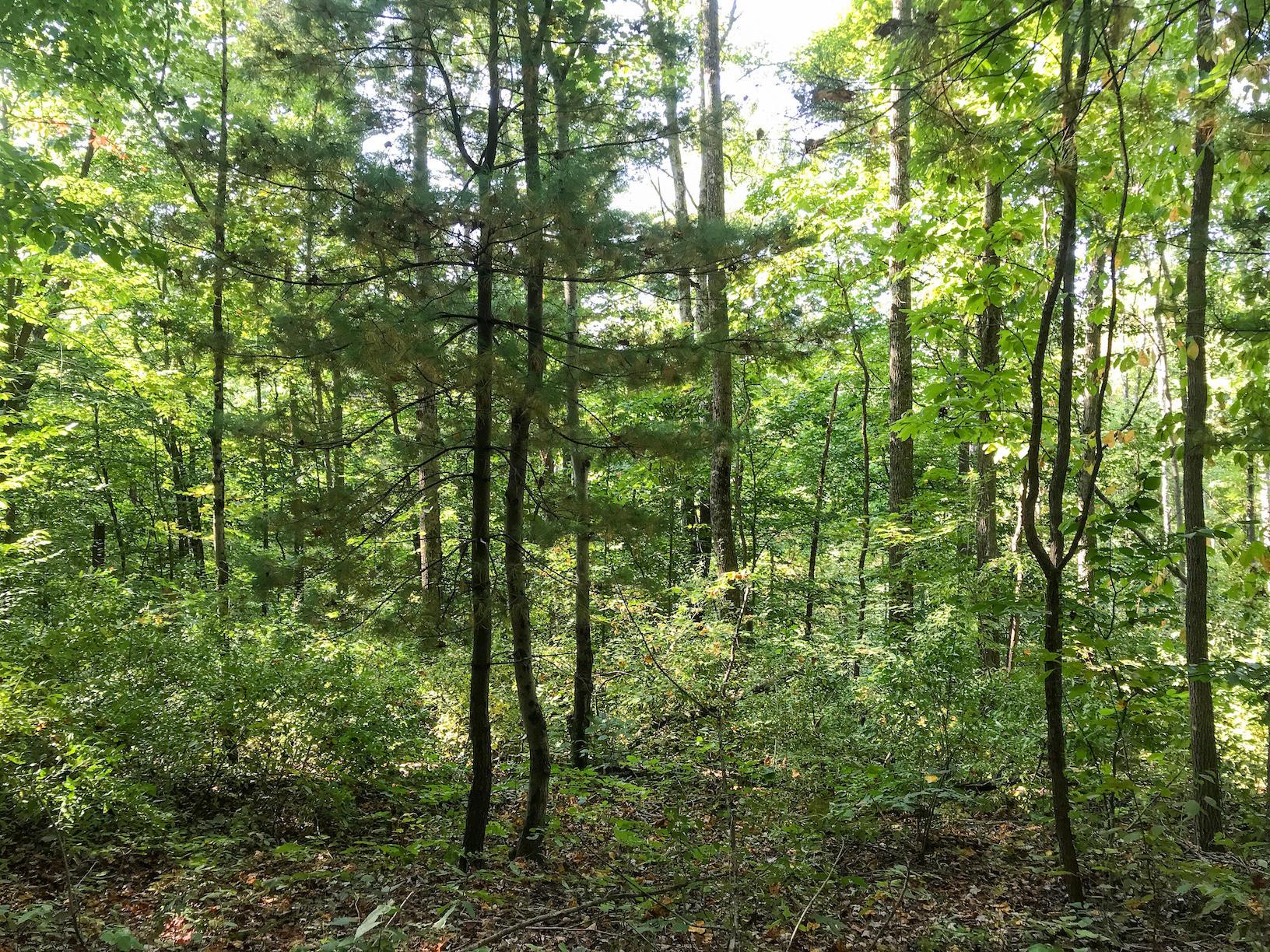 16487 Flint Ridge Road Southeast Hopewell, OH 43746 - Photo 34 of 42