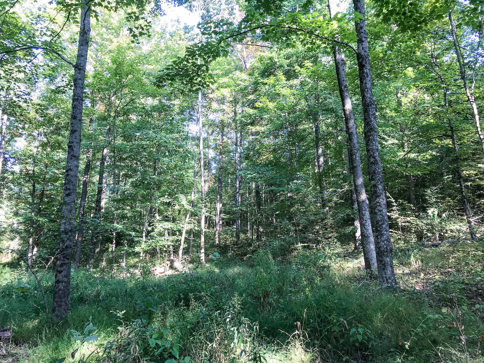 16487 Flint Ridge Road Southeast Hopewell, OH 43746 - Photo 36 of 42