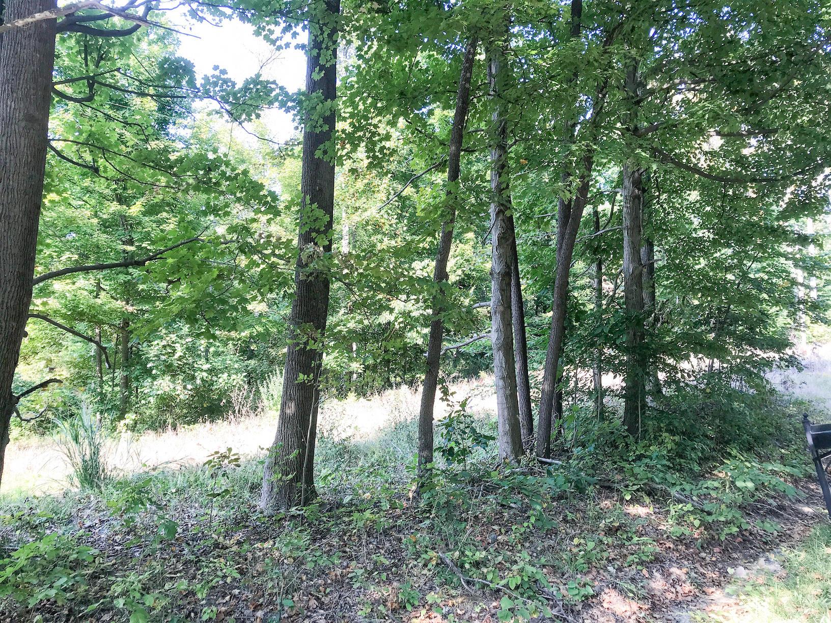 16487 Flint Ridge Road Southeast Hopewell, OH 43746 - Photo 42 of 42