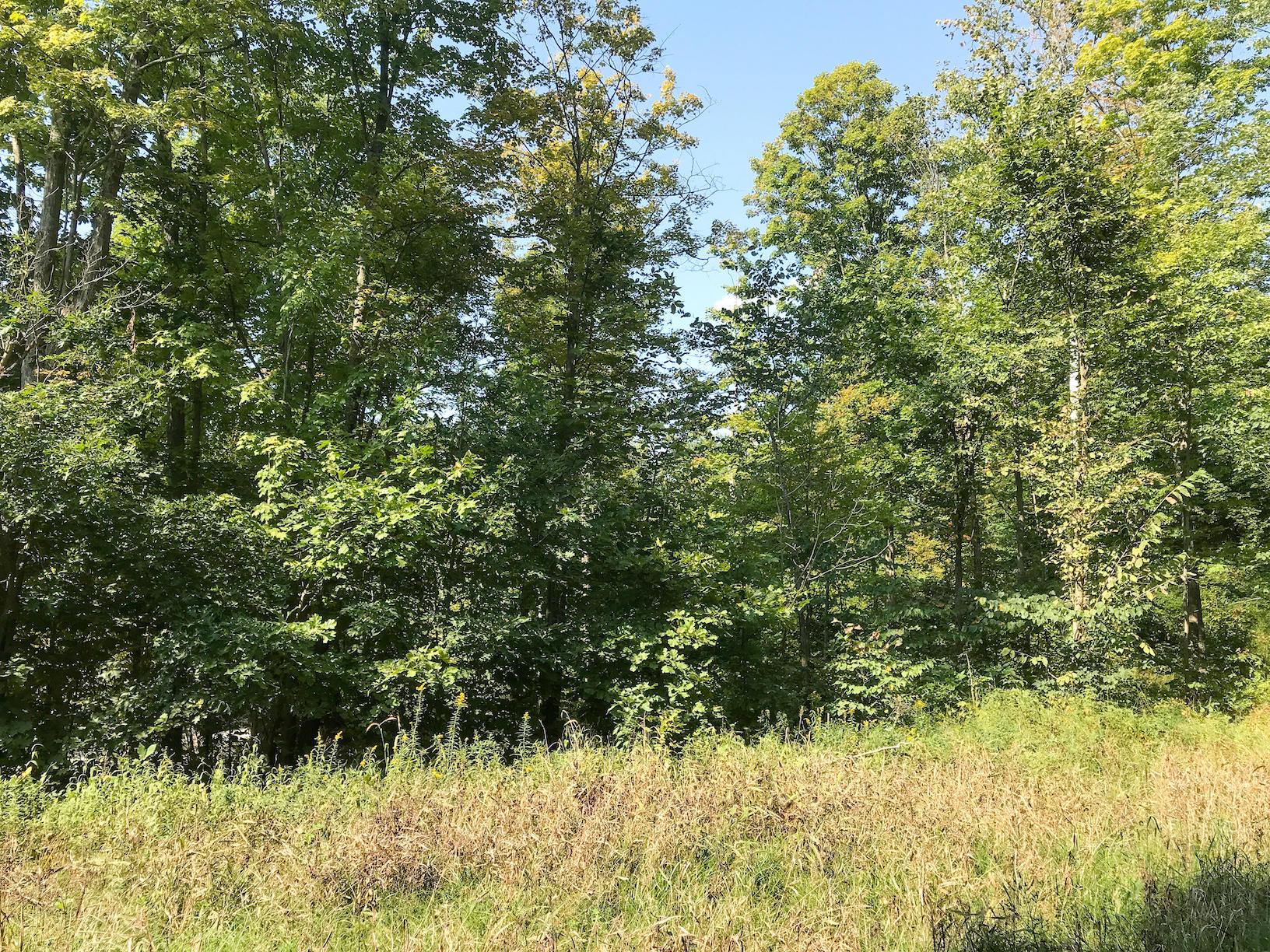 16487 Flint Ridge Road Southeast Hopewell, OH 43746 - Photo 6 of 42