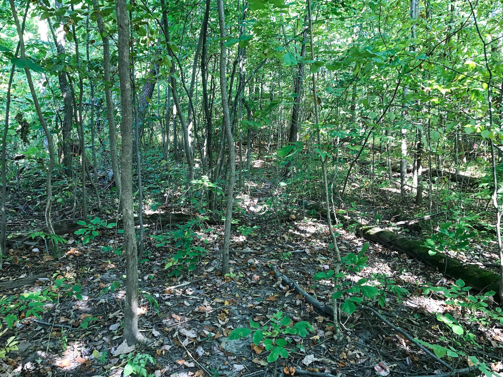 16487 Flint Ridge Road Southeast Hopewell, OH 43746 - Photo 8 of 42