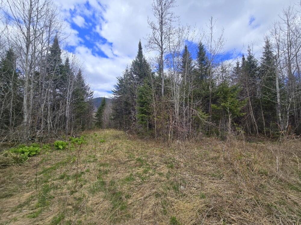 36 Chimney Rock Road Temple, ME 04984 - Photo 12 of 19