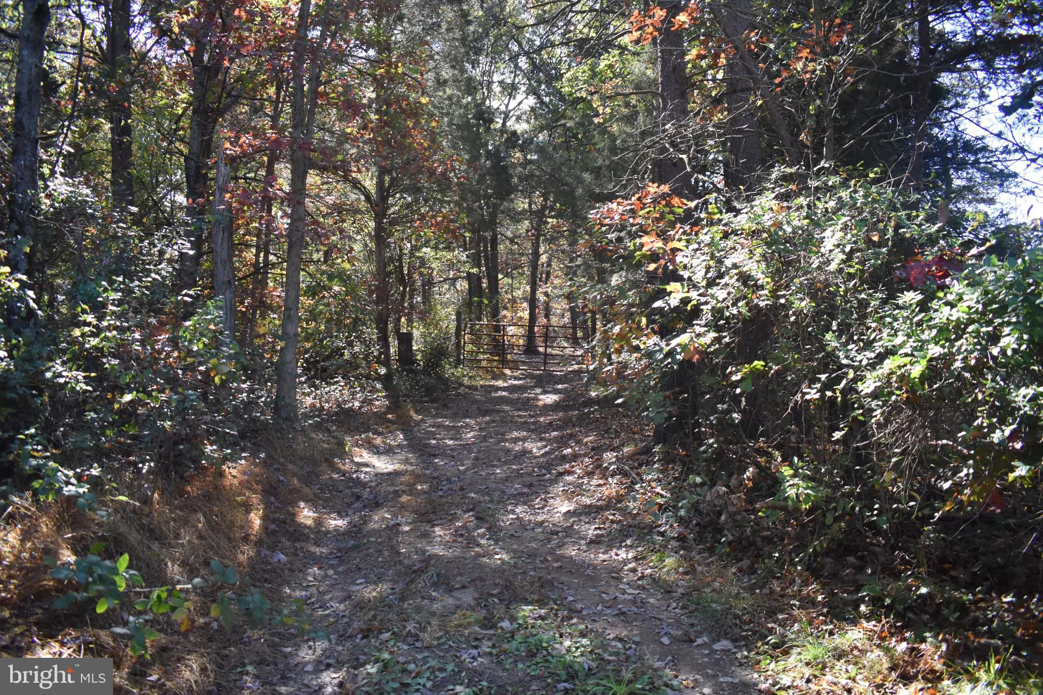 Esteppe Road Front Royal, VA 22630 - Photo 1 of 7 Gallery Image 1