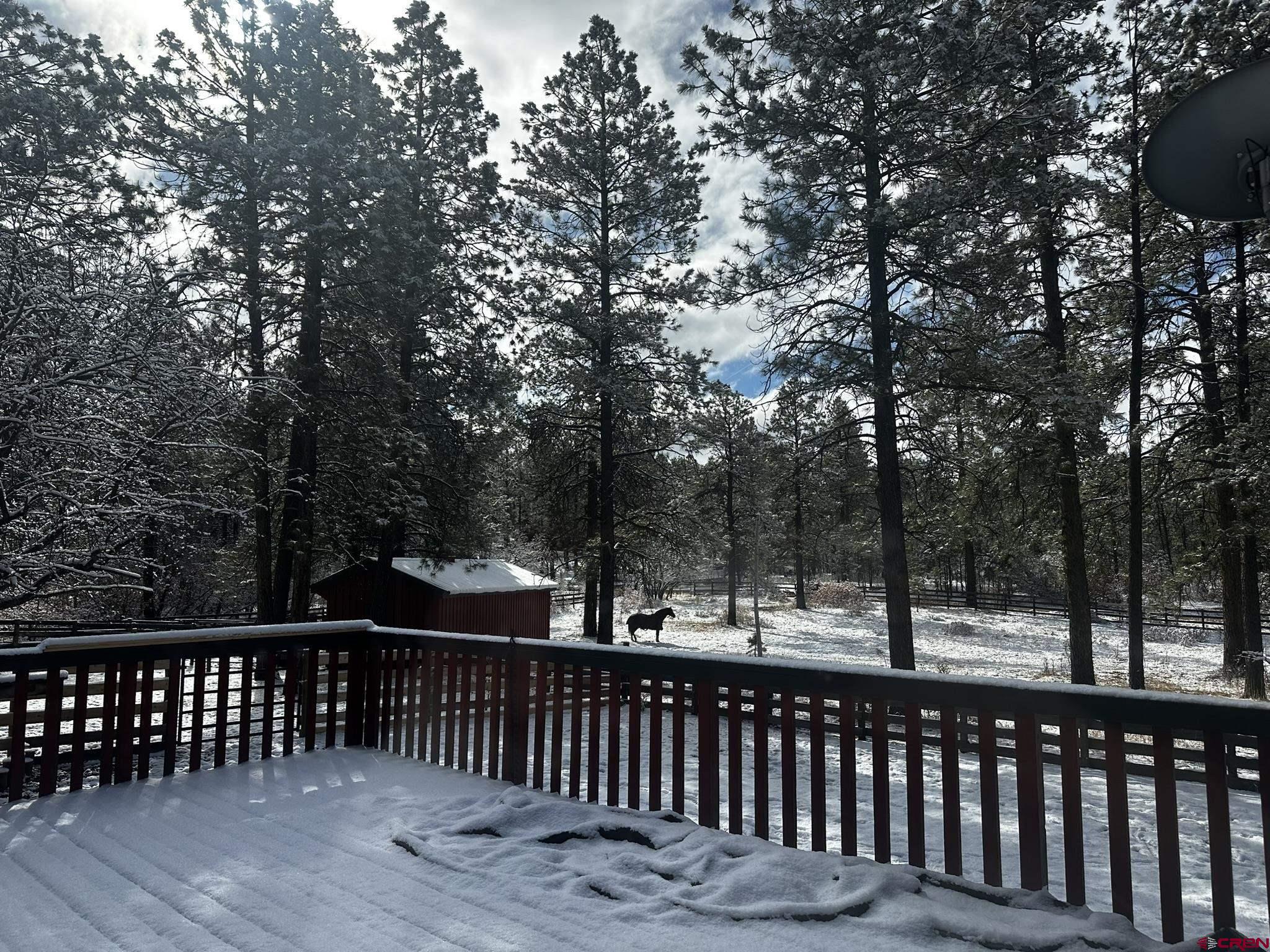 513 West Log Hill Road Pagosa Springs, CO 81147 - Photo 13 of 20