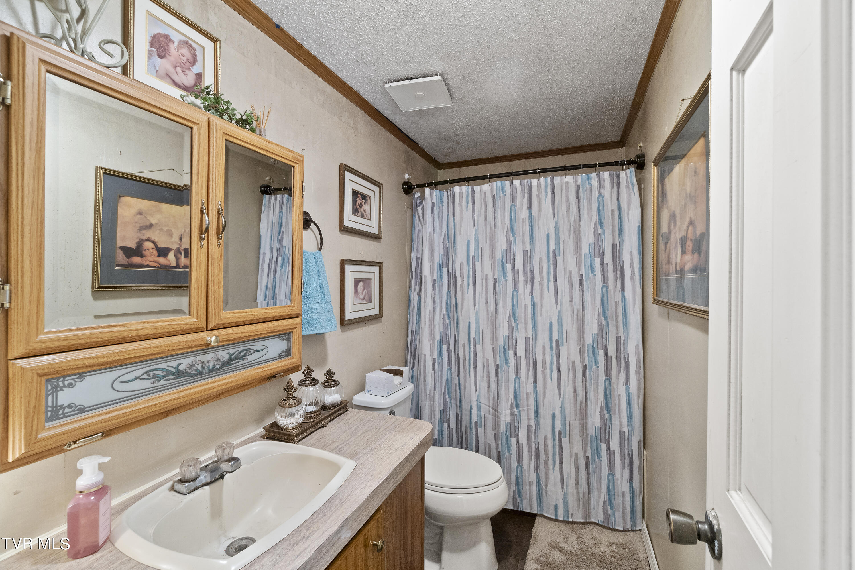 3362 Pates Hill Road Mosheim, TN 37818 - Photo 18 of 40 DSC08928