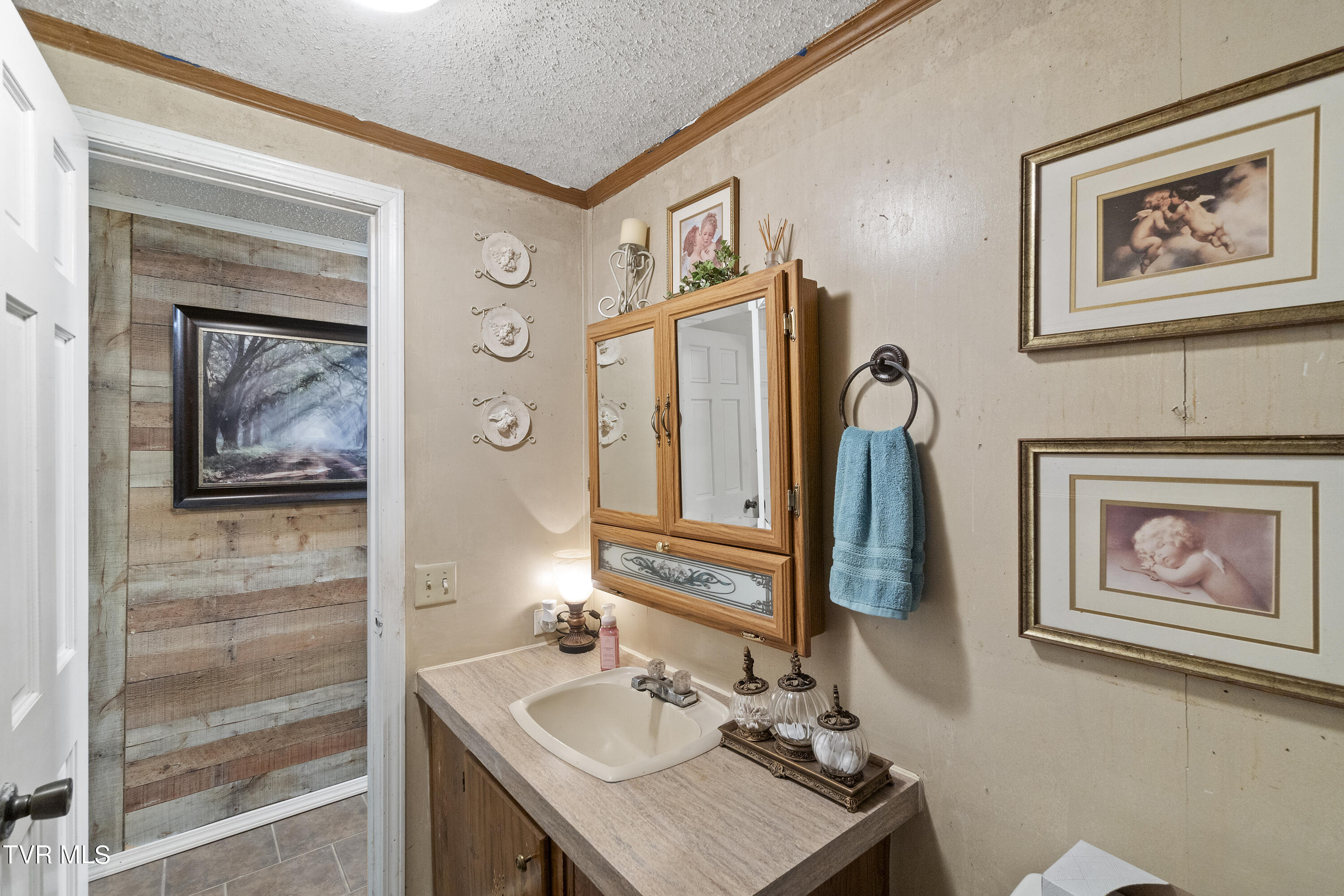 3362 Pates Hill Road Mosheim, TN 37818 - Photo 19 of 40 DSC08931