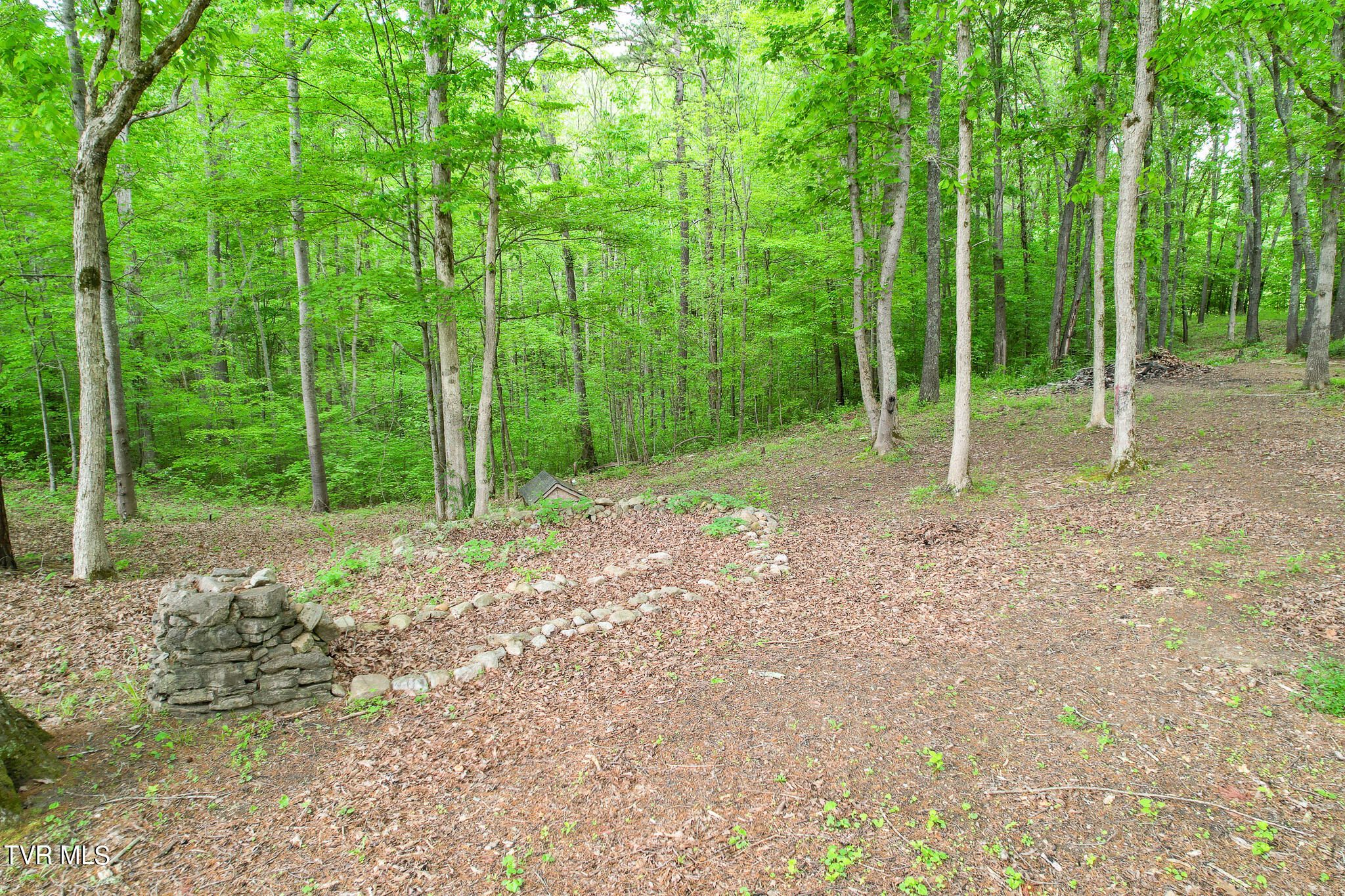 3362 Pates Hill Road Mosheim, TN 37818 - Photo 34 of 40 DJI_0621