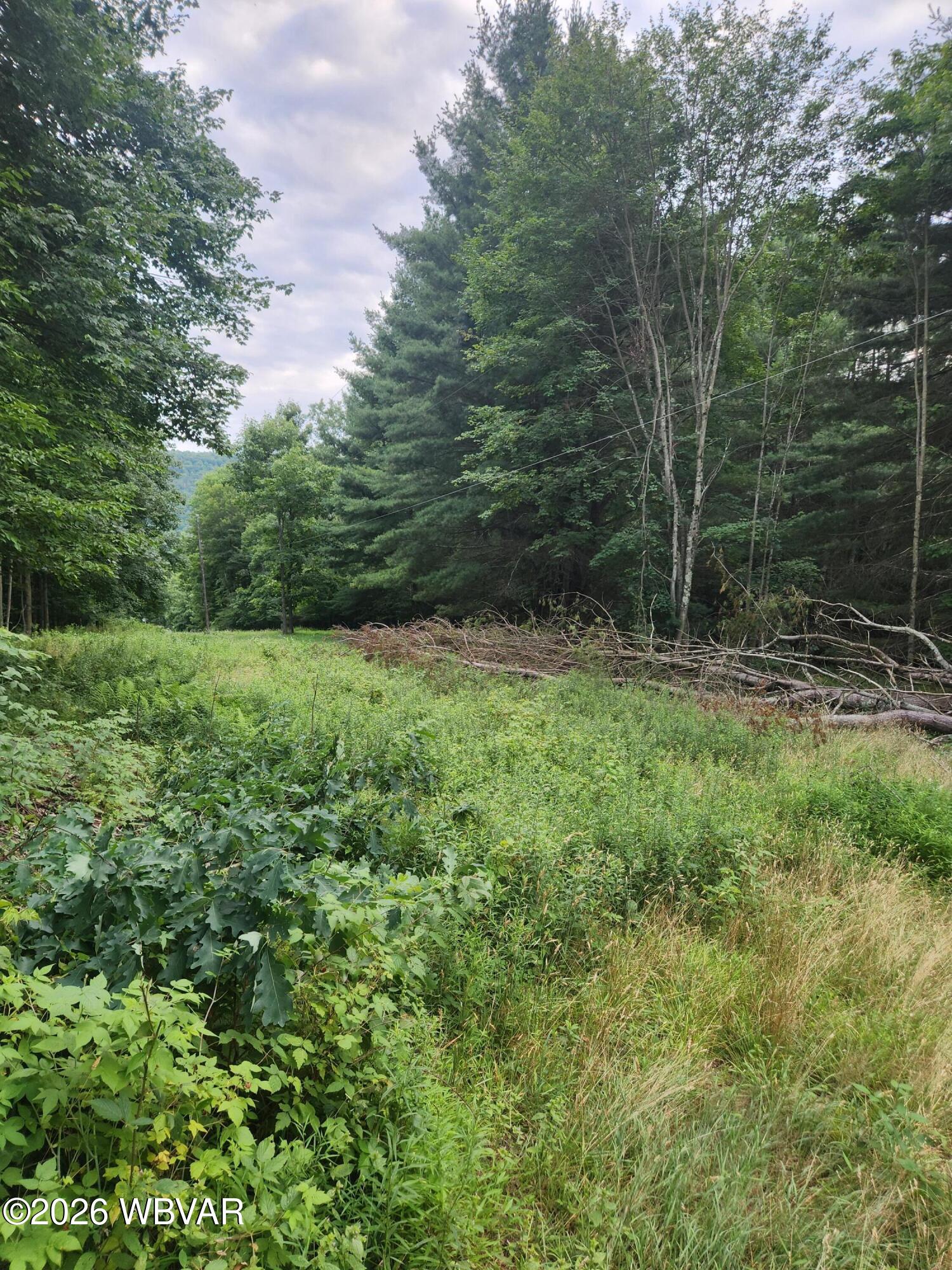 01 A Lambert Hill Road Dushore, PA 18614 - Photo 3 of 15 Gallery Image 3